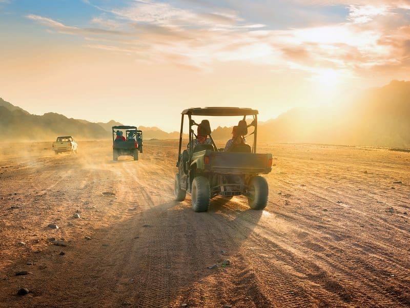 Travel the untraveled dunes